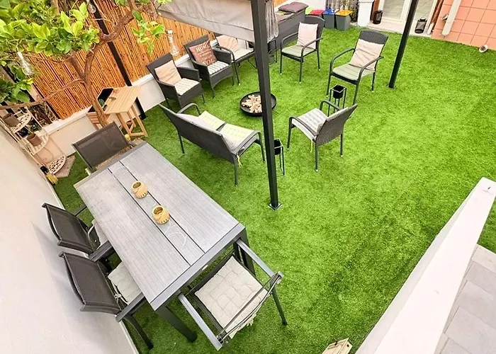 Lemon Tree 萨萨里